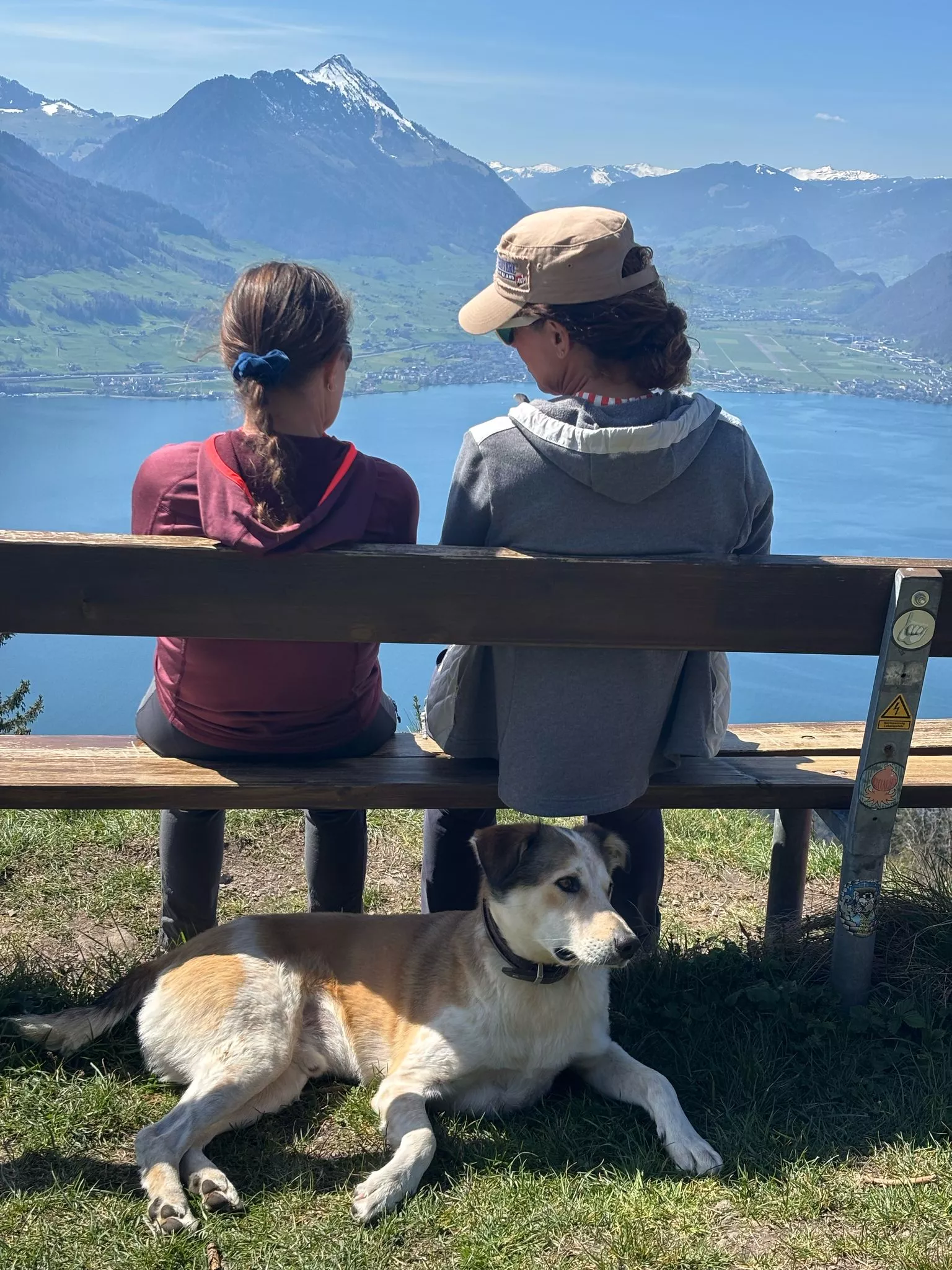 Hund-Vali