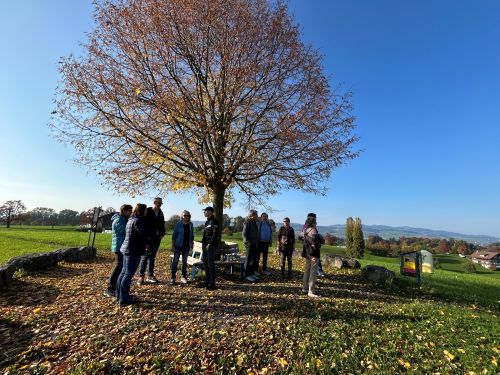 Novemberblues-Fasten-Rituale Novemberblues-Fasten-Rituale